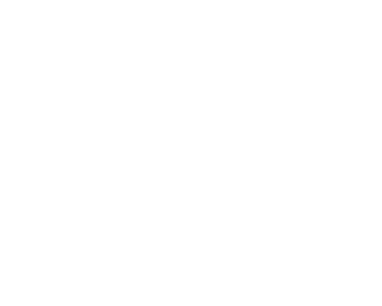 Logo AE