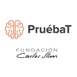 PruébaT - Fundación Carlos Slim